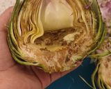 Foto langkah ke 2 dari resep Oven-baked Artichoke.