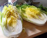 Foto langkah ke 1 dari resep KIMCHI (HomeMade).