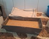 Foto del paso 5 de la receta: Budín de cítricos y jengibre con cacao