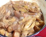 匠弄。南乳蓮藕炆豬肉 Braised pork belly with lotus root in Fermented Red Beancurd Sauce的食譜步驟14照片