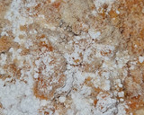 Foto del paso 1 de la receta: Panellets de boniato