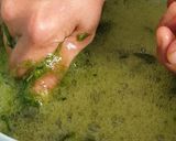 Foto langkah ke 4 dari resep Cincau Jelly Madu.