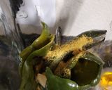 Foto del paso 4 de la receta: Espagueti verde