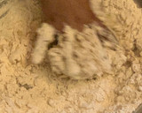 A picture of step 1 of Simple Wheat roti.