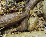 A picture of step 9 of Keema karely.