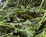 羽衣甘藍健康脆片（Kale Chips)的食譜步驟1照片