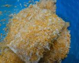 Foto langkah ke 4 dari resep Nugget Tempe Keju.