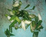 Foto langkah ke 2 dari resep Teri jengki cabe ijo.