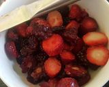 A picture of step 1 of Berry summery icey.