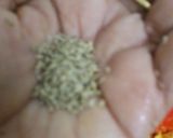 तवा पनीर (Tawa paneer recipe in hindi) रेसिपी चरण 3 फोटो