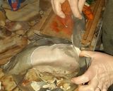 Foto del paso 5 de la receta: Lengua al escabeche