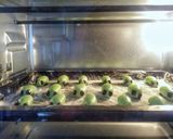A picture of step 7 of Caterpillar Cookies.