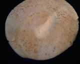 A picture of step 4 of Chini(sugar) Paratha.