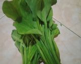Foto langkah ke 1 dari resep Tumis Genjer Pedas.