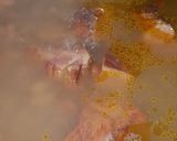 Foto del paso 3 de la receta: Potaje de alubias pintas (Ciorba de fasole uscata)