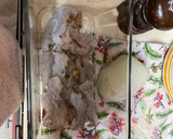 Foto del paso 4 de la receta: CAMARONES “VENENOSOS”