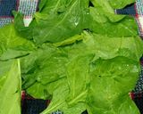 પાલક પાત્રા (Palak Patra Recipe In Gujarati) રેસીપી સ્ટેપ1ફોટો