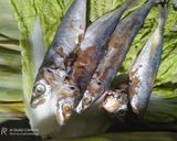 Foto langkah ke 3 dari resep Asin japuh sawi putih asap.