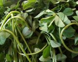 गुजराती मेथी के गोटे (gujarati methi ke gote recipe in Hindi) रेसिपी चरण 1 फोटो