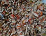 Foto langkah ke 7 dari resep Tongkol suir bunga kecombrang.