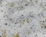 Foto del paso 1 de la receta: Bondiola fiambre en 30 días!!!♥️❣️♥️