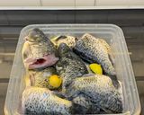 Foto langkah ke 1 dari resep Ikan Mas Pesmol.