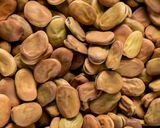 A picture of step 1 of Fūl Medames – dried fava bean stew.