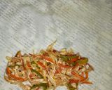 A picture of step 5 of Peri peri flavour chicken veg rolls.