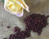Foto del paso 2 de la receta: Alubia roja de Ibeas en olla rápida