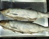 Foto langkah ke 5 dari resep Otak-otak bandeng (lengkap langkah2).