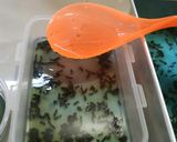 Foto langkah ke 10 dari resep Nutrijel 2 lapis anti ribet.