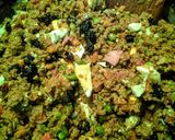 Foto del paso 5 de la receta: CAIGUA (pepino de agua), relleno con guiso de Carne Picada...!