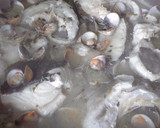 Foto del paso 7 de la receta: Bacalao skrei con berberechos