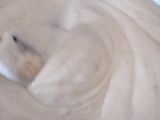 Rollè di risi con crema al gorgonzola