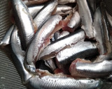 Foto del paso 1 de la receta: Boquerones rebozados