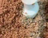 صورة لخطوة 5 من وصفة كمونة البندورة 🍅