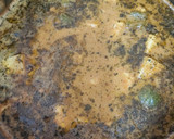 कढाई पनीर(Kadhai paneer recipe in Hindi) रेसिपी चरण 5 फोटो