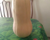 Foto del paso 1 de la receta: Crema de calabaza!