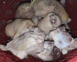 Foto langkah ke 1 dari resep GATA-33: TULANG AYAM MASAK KECAP.