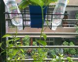 A picture of step 11 of Basil Seed Lemon Winter Melon Drink.