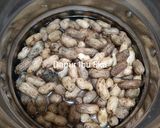 Foto langkah ke 2 dari resep Kacang Tanah Rebus Irit Gas.