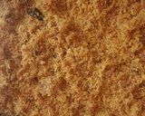 Foto langkah ke 5 dari resep Ayam Serundeng atau ayam lengkuas.