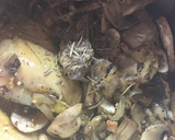 Foto del paso 7 de la receta: Caldo de hongos y mezcal