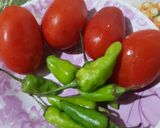 A picture of step 4 of Besan ki Roti.Piyaz Tamatar Hari Mirch Chutney.