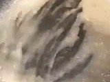 Pan Hokkaido