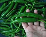 Foto langkah ke 1 dari resep Cabe gebog/cabe hijau dicabein.