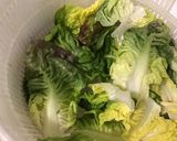 Une image de l'étape 5 de Salade de tomates tricolores à la laitue rougette et mozzarella di buffala.