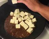 Mapo Tofu Braised silken tofu and ground beef with spicy sauce recipe step 4 photo