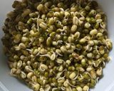 A picture of step 1 of Sprouts chat in cucumber boat.