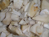 Sayur nangka muda